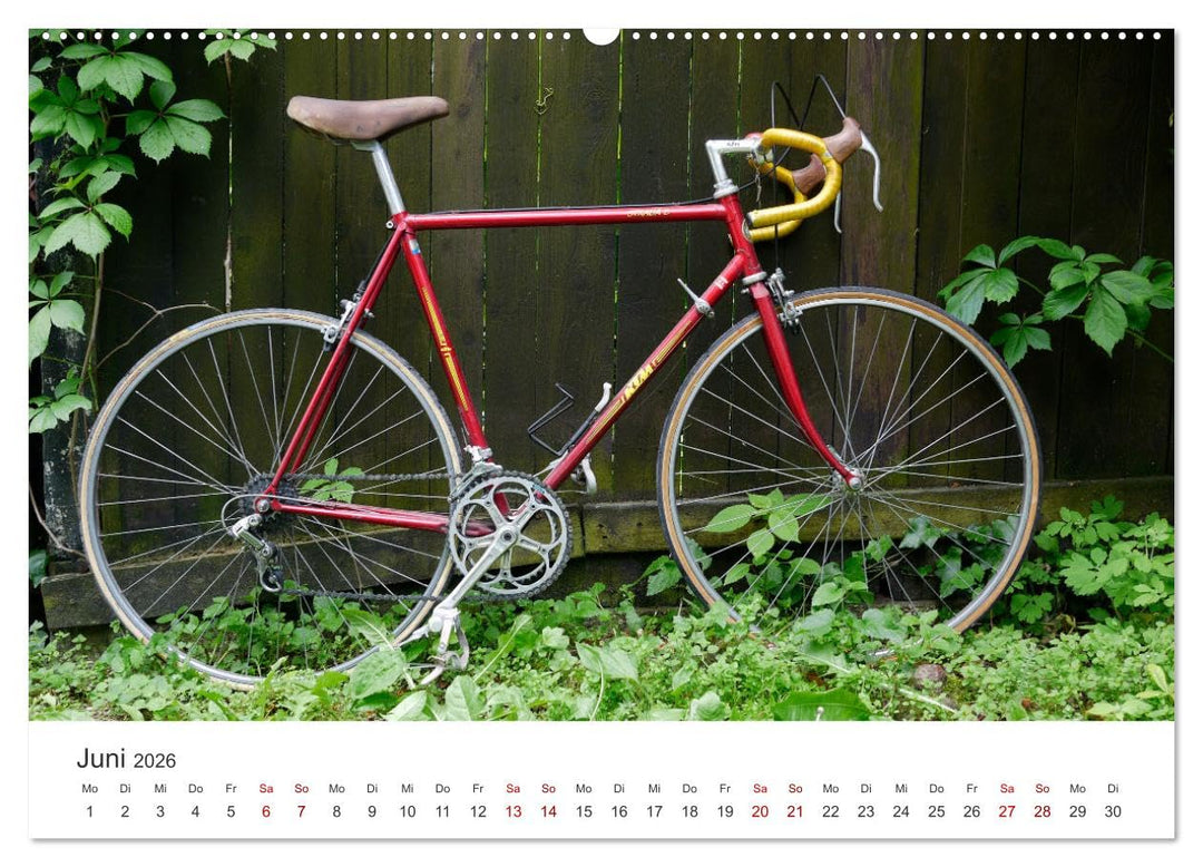 Stahlrenner - Rennrad-Klassiker aus Europa (hochwertiger Premium Wandkalender 2026 DIN A2 quer), Kun