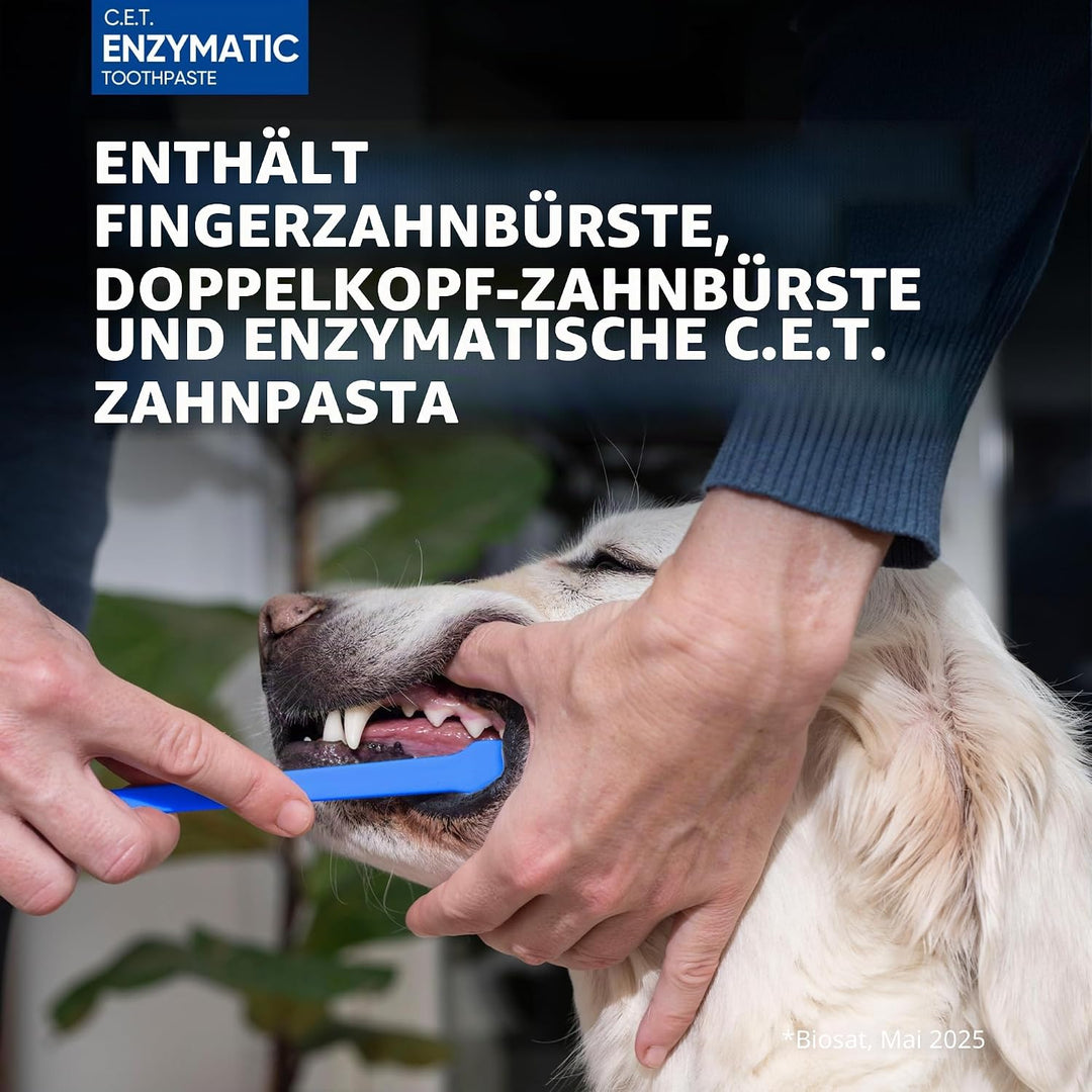 CET KIT CEPILLO + DENTIFRICO ENZIMATICO 70GR