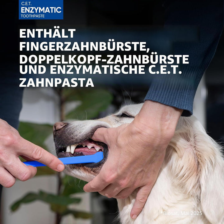 CET KIT CEPILLO + DENTIFRICO ENZIMATICO 70GR