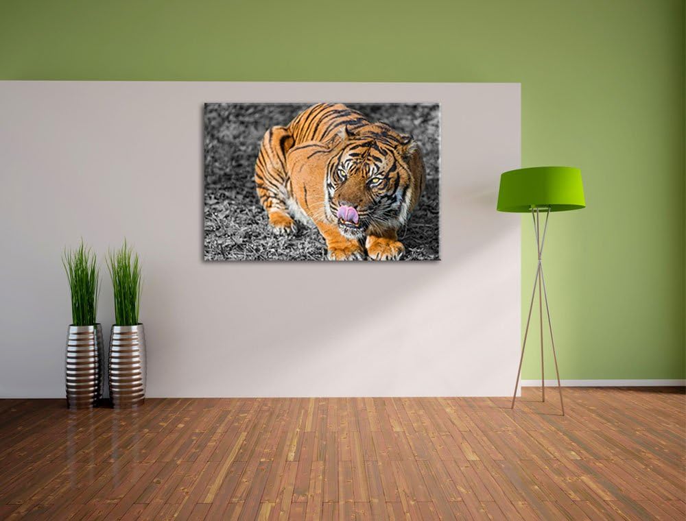 Pixxprint grosser Tiger schwarz/weiss auf Leinwand, XXL riesige Bilder fertig gerahmt mit Keilrahmen