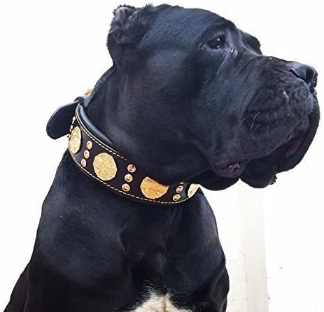 Bestia "Maximus'' Echtleder Hundehalsband für grosse Hunde. 100% Leder. Weich Gepolstert XXL- 65 bis