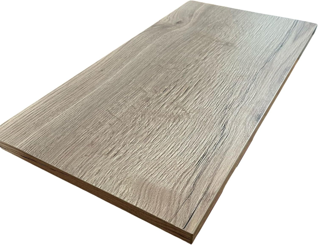 1 Stück Regalboden Einlegeboden WILD-Eiche 567 x 290 mm (L 56,7 cm x B 29,0 cm) Fachboden für 60 cm