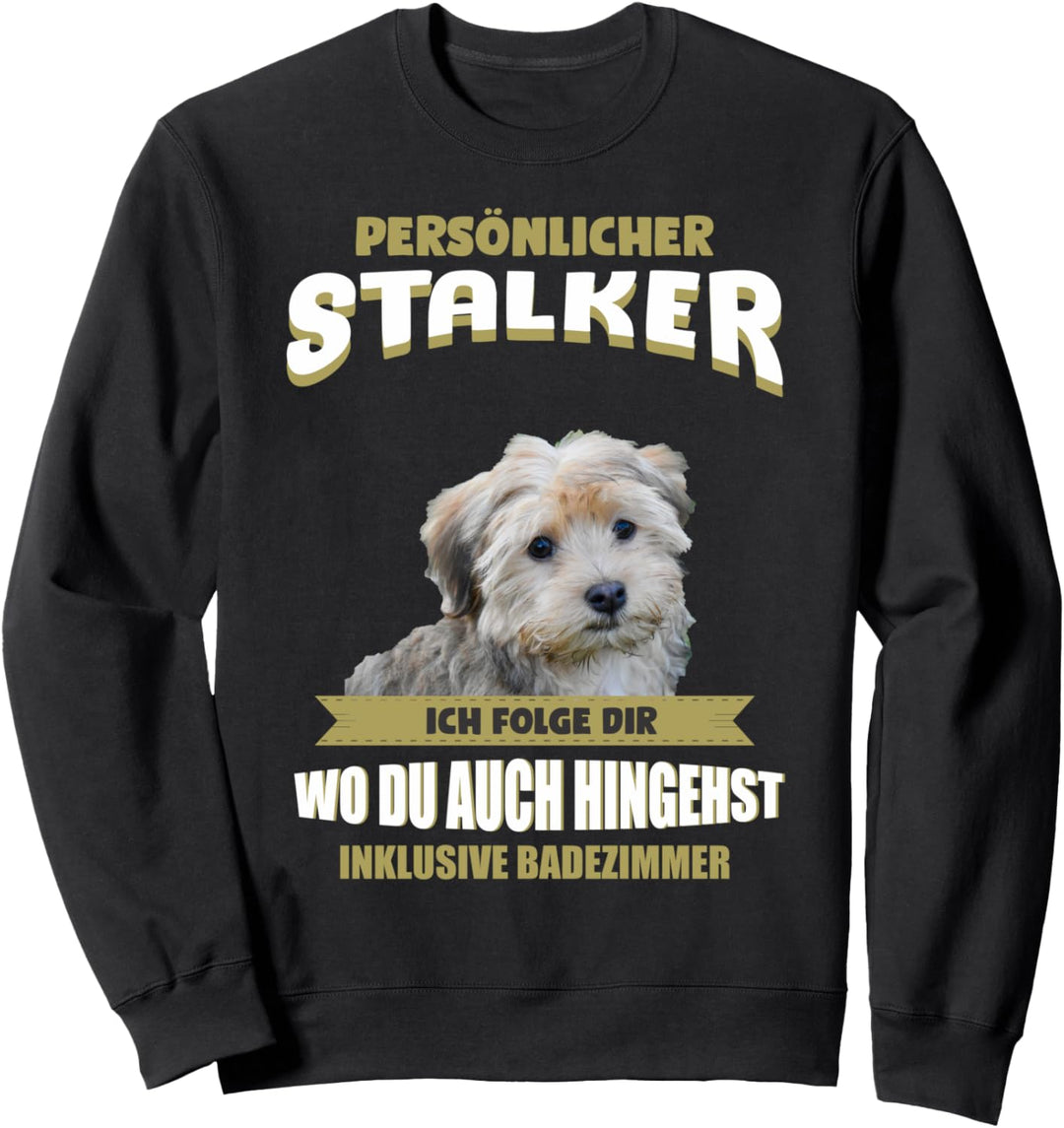 Havaneser Hund - Havaneser Sweatshirt