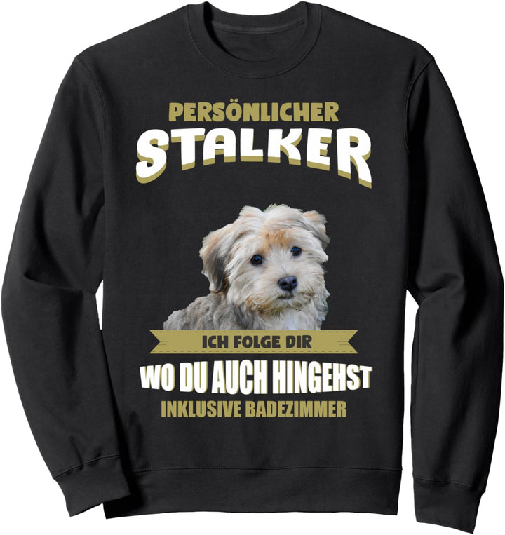Havaneser Hund - Havaneser Sweatshirt