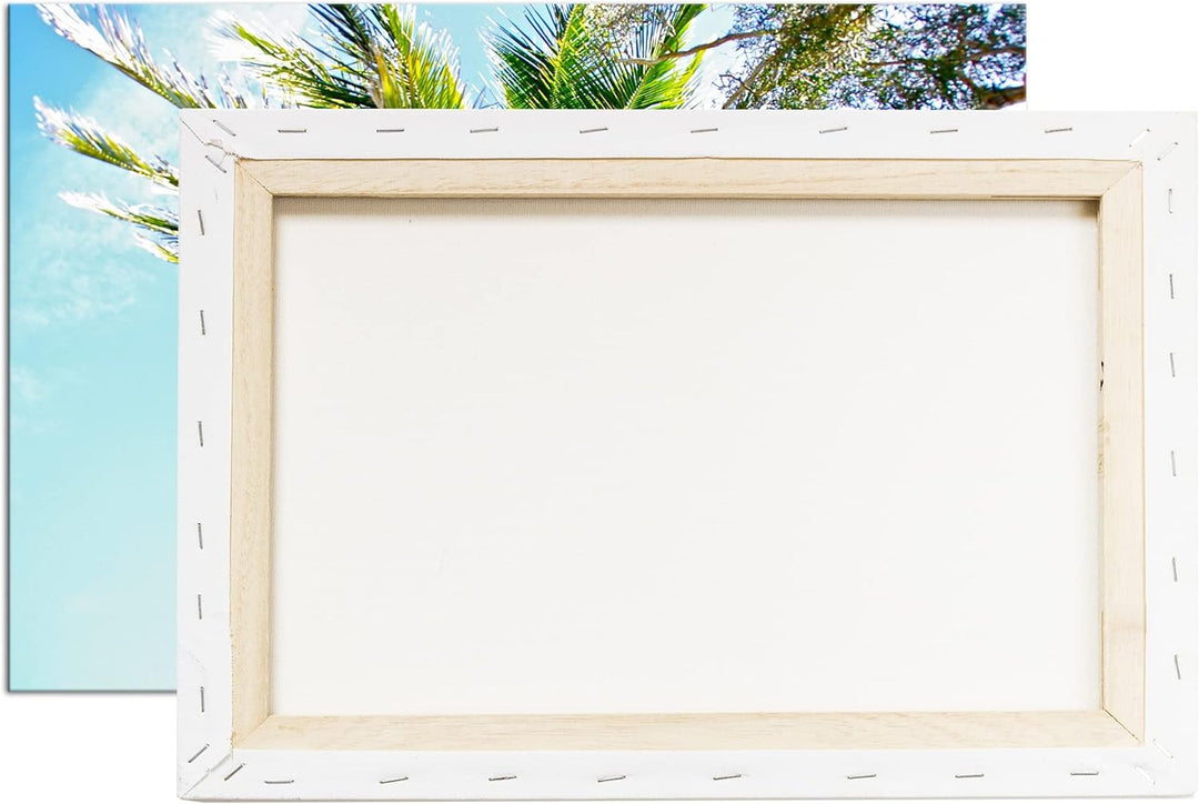 deyoli Kokosnüsse an einer tropischen Palme Format: 80x60 als Leinwandbild, Motiv fertig gerahmt auf