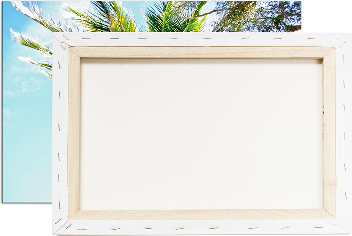 deyoli Kokosnüsse an einer tropischen Palme Format: 80x60 als Leinwandbild, Motiv fertig gerahmt auf