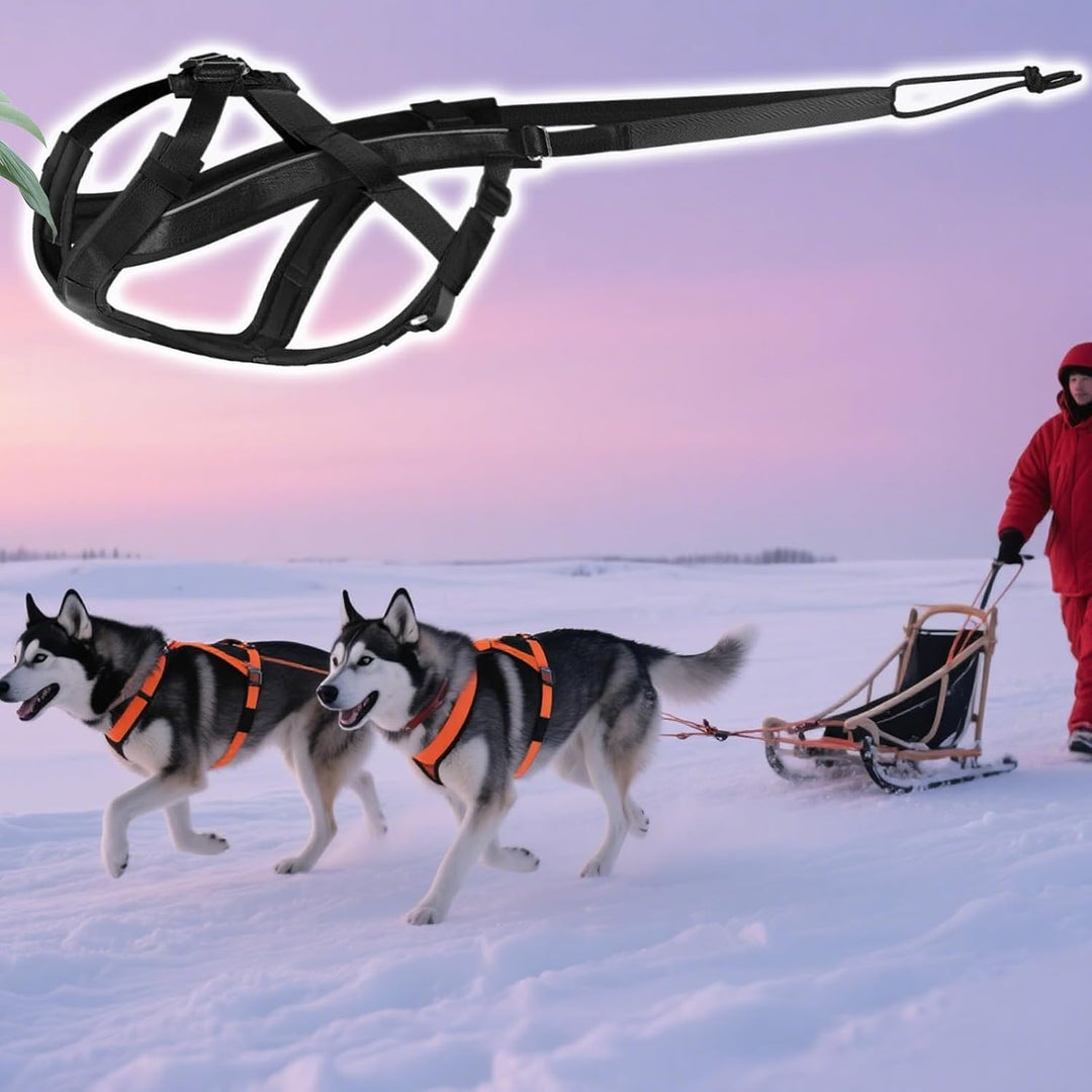 Hundegeschirr zum Ziehen | Reflektierendes Laufgeschirr für Hunde | Bequemer, Verstellbarer Gurt für
