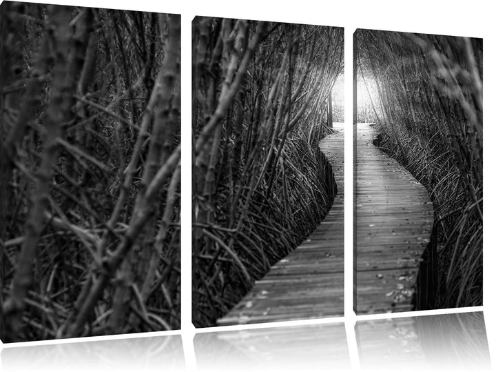 Pixxprint Gehweg im Wald Kunst B&W / 3-Teilig/Gesamtmass 120cm Leinwandbild bespannt auf Holzrahmen/