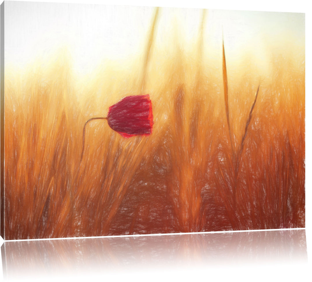 Pixxprint Einzelne rote Rose im Sonnenlicht als Leinwandbild/Grösse: 100x70 cm/Wandbild/Kunstdruck/f