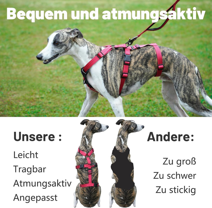 Sicherheitsgeschirr Hund, Anti Zug Hundegeschirr, Panikgeschirr für Hunde, Ausbruchsicheres Geschirr