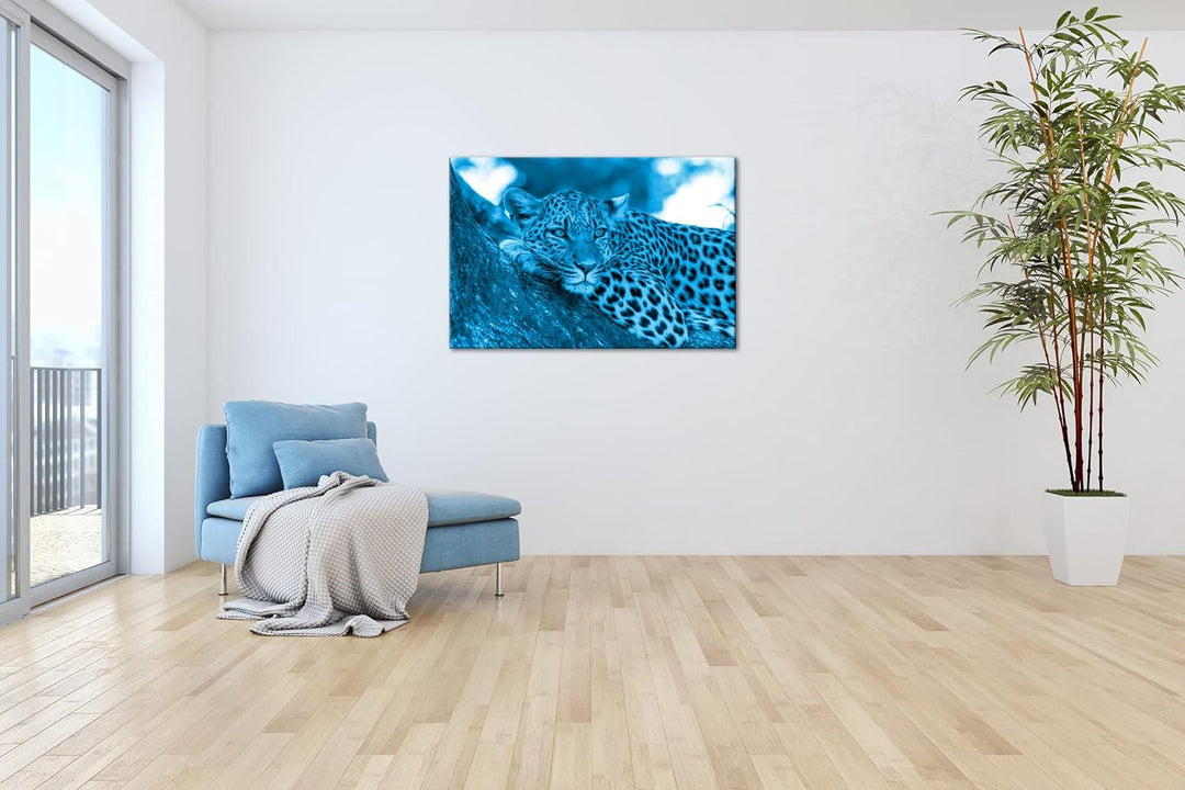 deyoli liegender Leopard Format 80x60 Effekt: Monocrome Blau als Leinwandbild, Motiv fertig gerahmt