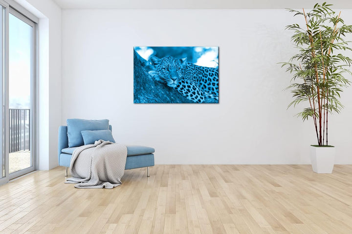 deyoli liegender Leopard Format 80x60 Effekt: Monocrome Blau als Leinwandbild, Motiv fertig gerahmt