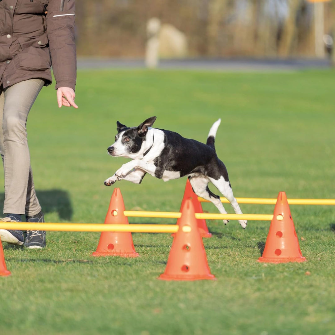 Trixie 32091 Dog Activity Hindernisse, 3 St., ø 23 × 30 cm/78 cm, orange/gelb, 3 St., ø 23 × 30 cm/7