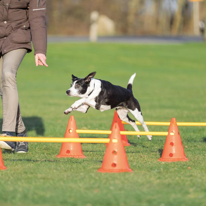 Trixie 32091 Dog Activity Hindernisse, 3 St., ø 23 × 30 cm/78 cm, orange/gelb, 3 St., ø 23 × 30 cm/7