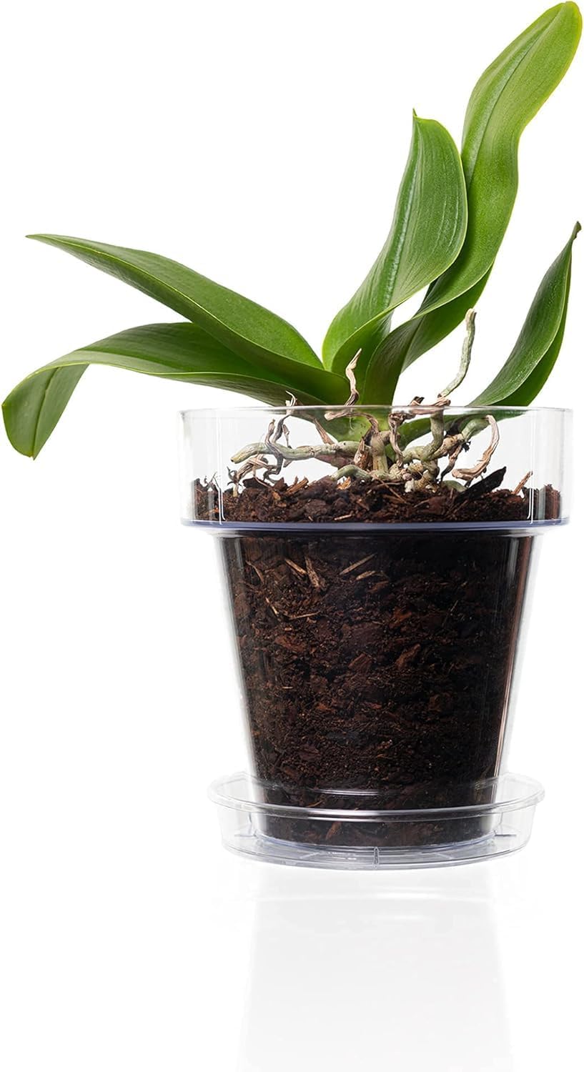Kalapanta 5 transparente Plastiktöpfe für Orchideen mit Entwässerungslöchern und 5 Untersetzers (5,