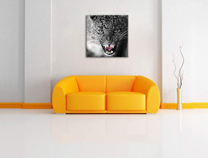 Pixxprint schöner fauchender Leopard als Leinwandbild | Grösse: 70x70 cm | Wandbild | Kunstdruck | f