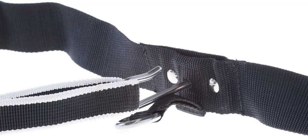 Trekking Belt von Nonstop, Laufgurt,Jogginggurt, Wandergurt für Hunde (S, Purple) S Purple, S Purple