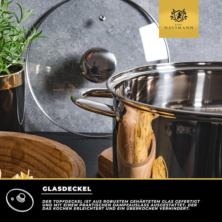 Topfset Induktion 3-teilig, Kochtopf Set mit Glasdeckel, Edelstahl mattiert, Induktions Töpfe Set un
