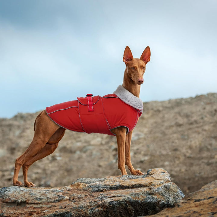 Lelepet Hundemantel Winterweste Reflektierende Fleece Hundejacke für Grosse Hunde Wasserdicht Hundej