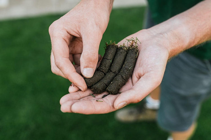 Rasenspecht Aerifizierer mit 2x16mm Spoons und Auffangwanne (Langer Stiel (ab Einer Körpergrösse von