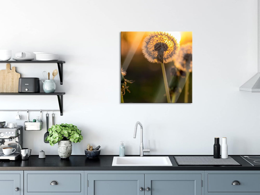 Pixxprint Glasbild | Wandbild auf Echtglas | Pusteblume | 50x50 cm | inkl. Aufhängung und Abstandsha