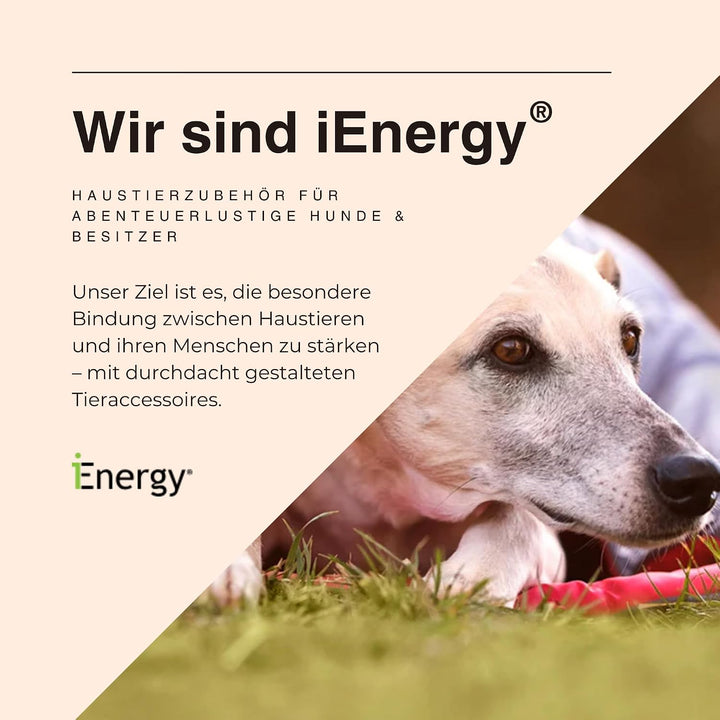 iEnergy™ MAE Hunderucksack - 2in1 Geschirr und Abnehmbarer Rucksack für Hunde - Wetterfest und inklu
