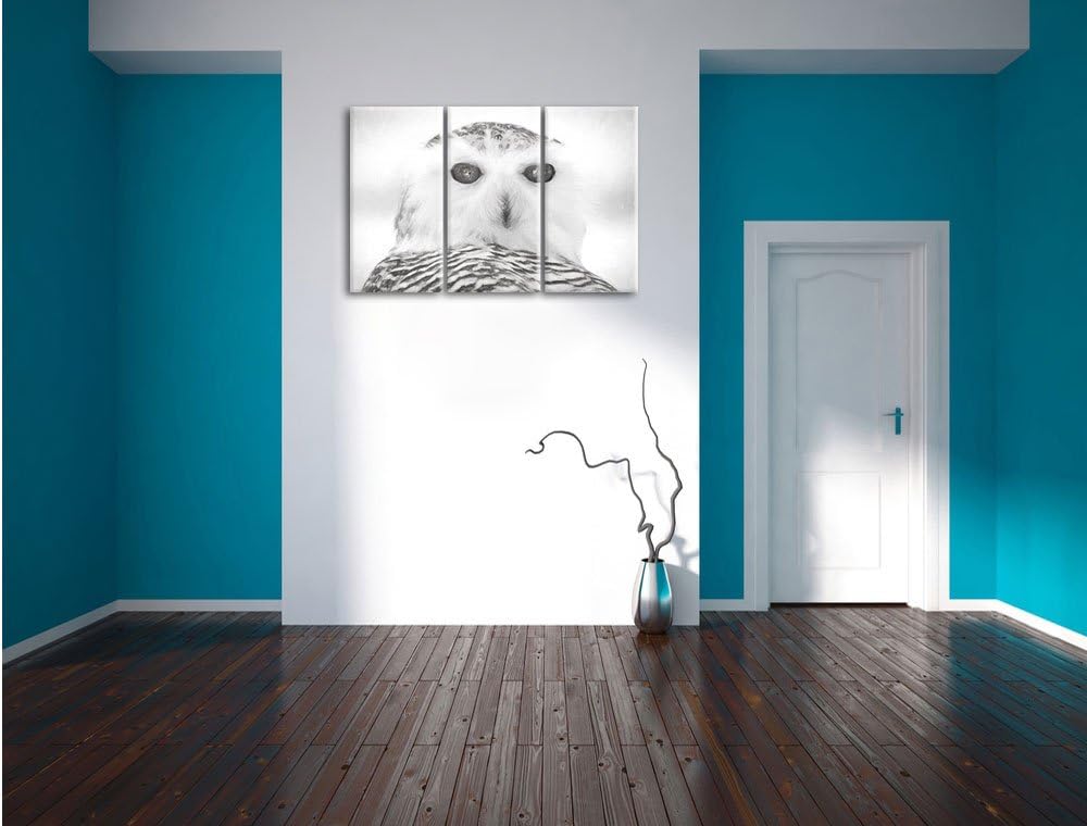 Pixxprint Schnee-Eule als Leinwandbild/Grösse: 3 Teilig (120x80) cm/Wandbild/Kunstdruck/fertig bespa