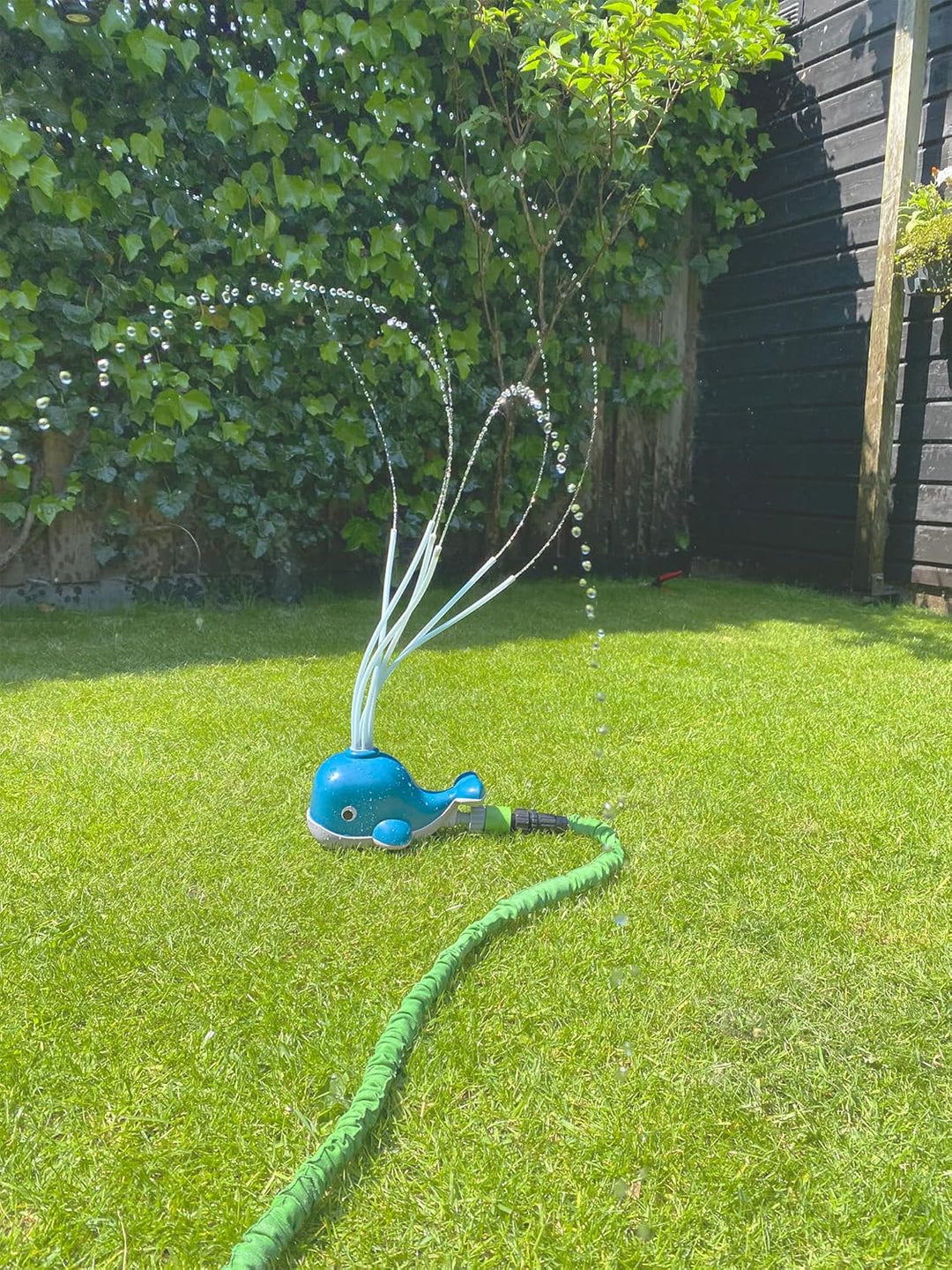 Wasser spritzender Wal, Wasserspielzeug
