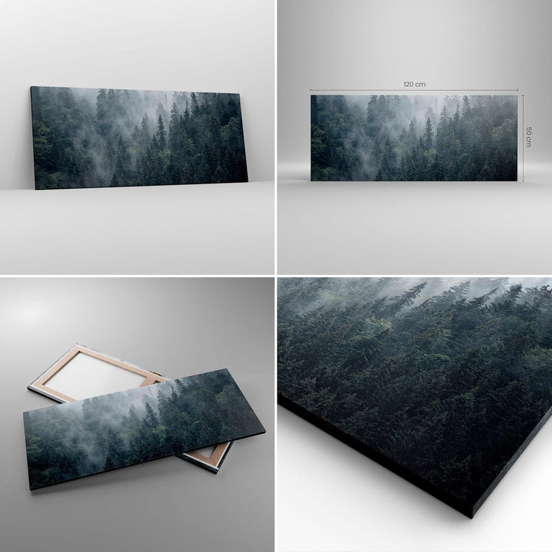 Wandbilder Dekoration Wohnzimmer Wald Baum Natur Panorama Bilder auf Leinwand 120x50cm Leinwandbild