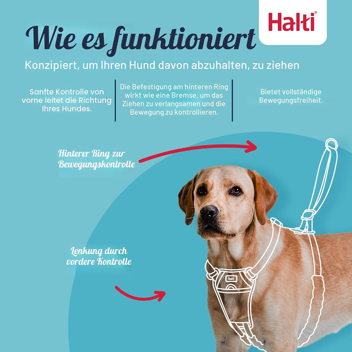 Halti No Pull Geschirr und Trainingsleine Kombipack, stoppt Hund beim Ziehen auf Spaziergängen mit H