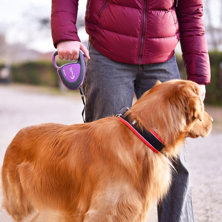 Ferplast Guinzaglio per Cani Allungabile FLIPPY TECH, Guinzaglio per Cani Taglia Grande fino a 50 Kg