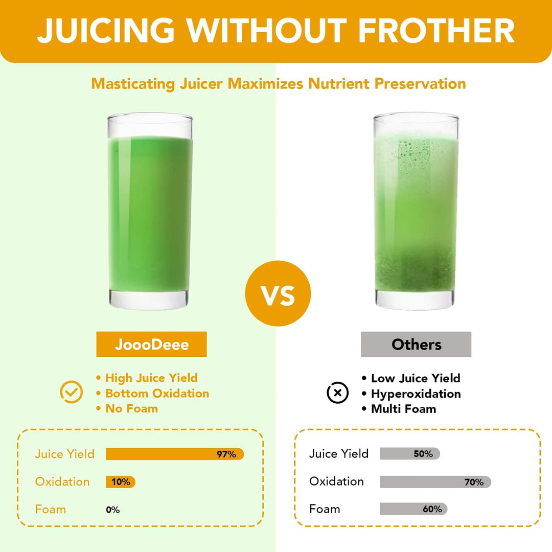 Slow Juicer Entsafter, Saftpresse, Zerkleinernde Entsaftermaschine, Gemüse Und Obst Testsieger mit R