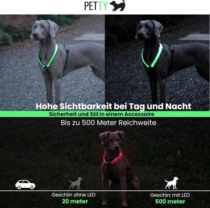 Petty Store -Leuchtharnisch für Hunde, wasserdicht, 3 Farben – Geschirr mit LED, USB-Aufladung bis z
