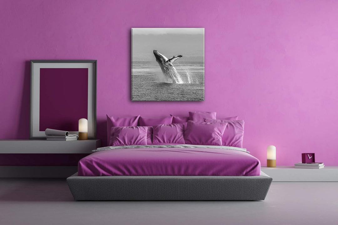 deyoli atemberaubender Buckelwal im Meer im Format: 70x70 Effekt: Schwarz&Weiss als Leinwandbild, Mo