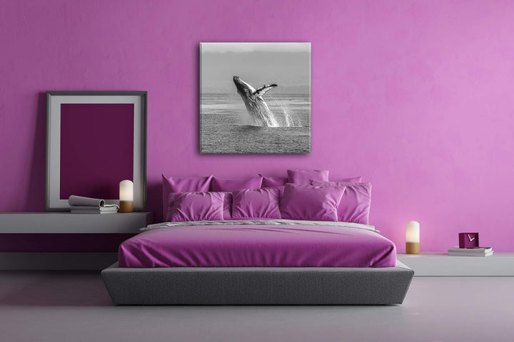deyoli atemberaubender Buckelwal im Meer im Format: 60x60 Effekt: Schwarz&Weiss als Leinwandbild, Mo
