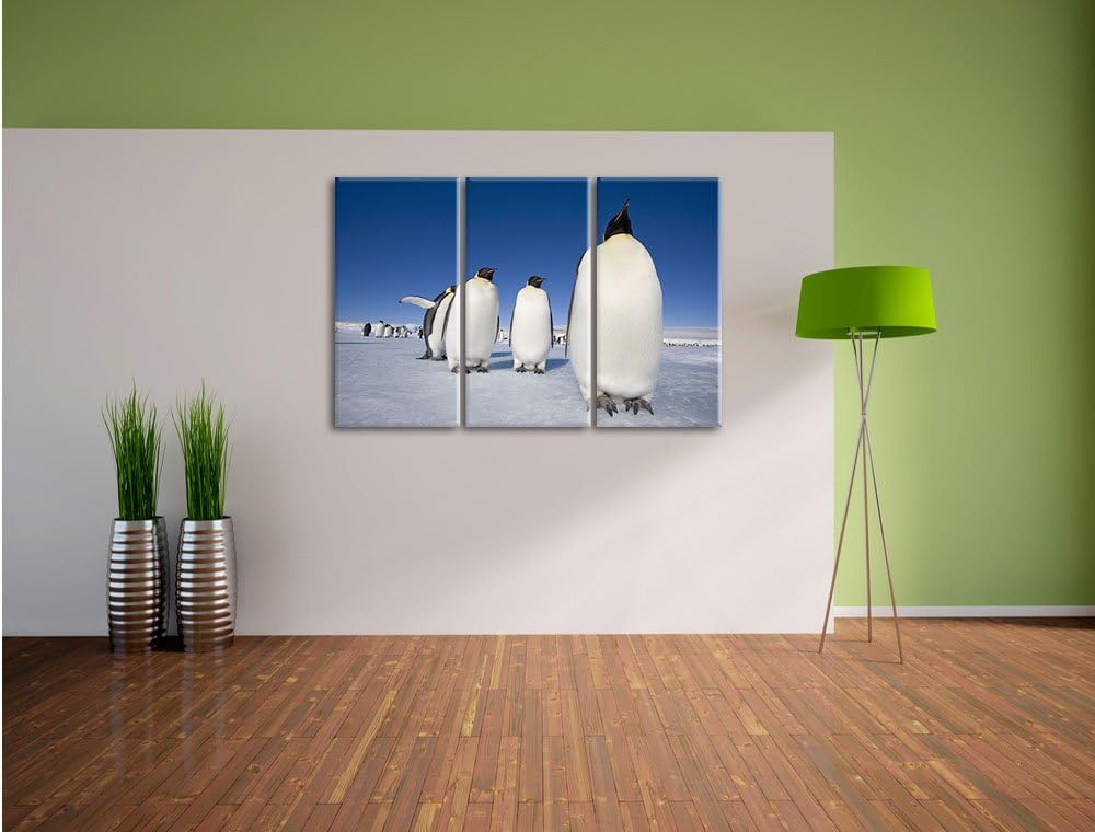 Pixxprint Kaiserpiguine in Antarktis / 3-Teilig/Gesamtmass 120cm Leinwandbild bespannt auf Holzrahme