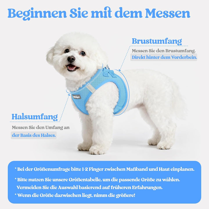 rabbitgoo Hundegeschirr Kleine Hunde mit Leine, Step-in Welpengeschirr Weich Mesh für Spaziergänge,