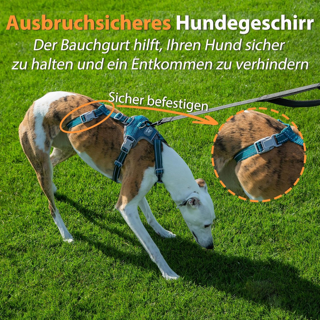 Huntboo Sicherheitsgeschirr Hund Ausbruchsicher, Panikgeschirr für Hunde, Anti Zug Hundegeschirr, Re