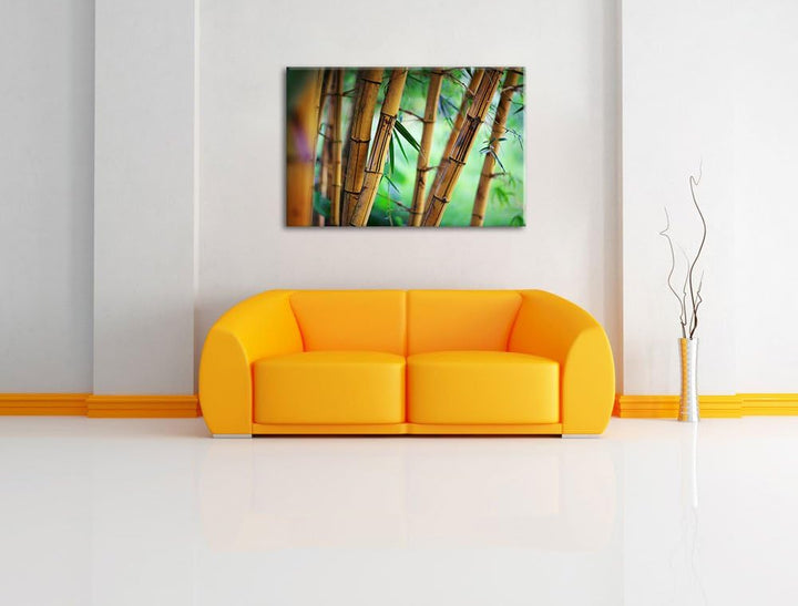 Alter Bambus Wald Format: 100x70 auf Leinwand, XXL riesige Bilder fertig gerahmt mit Keilrahmen, Kun