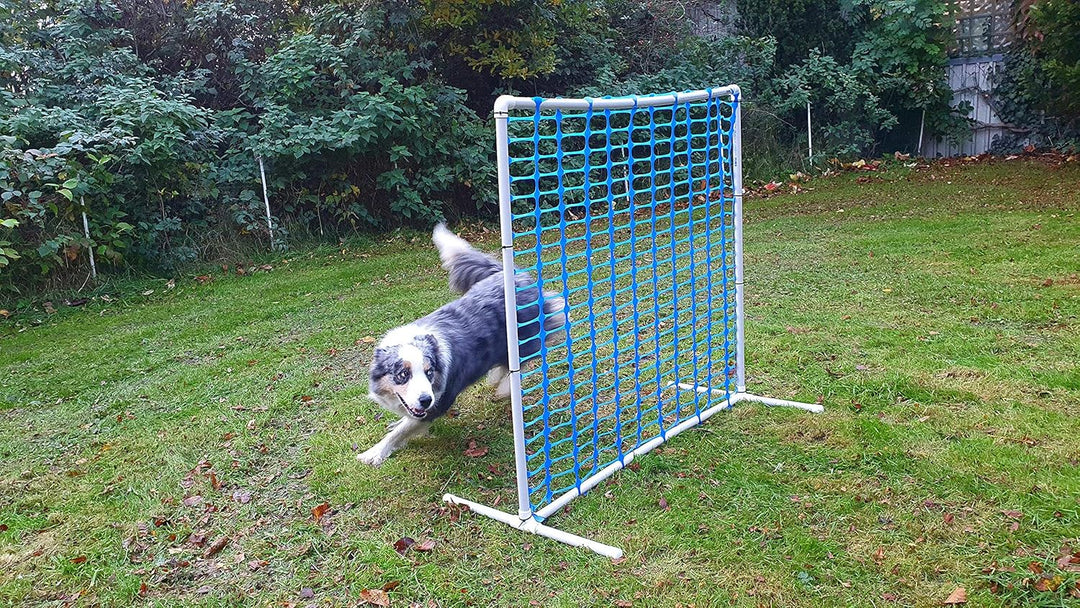Generisch HOOPERS Agility Combi-Set, 1 Gate/Zaun blau, 3 Bögen rot-blau-gelb | NADAC Hoopers Gate, F