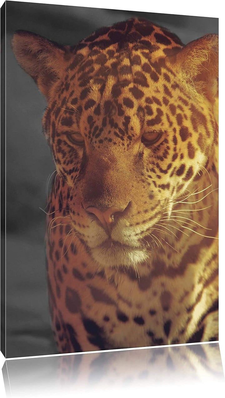 Pixxprint Einsamer Leopard in der Wüste, Format: 80x120 auf hochkantiges Leinwand, XXL riesige Bilde