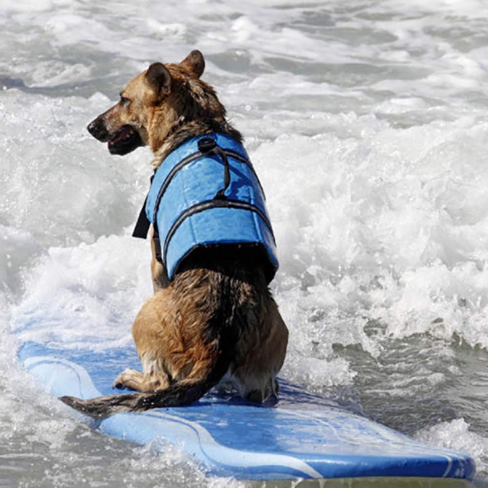 Hund Schwimmweste Schwimmen Sicherheitsmantel Schwimmschwimmweste Lebensretter mit Griff für kleinen