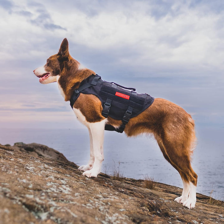 OneTigris No-Pull Hundegeschirr, AIRE MESH Einstellbar Sicherheitsgeschirr Ultra Atmungsaktiv für Gr