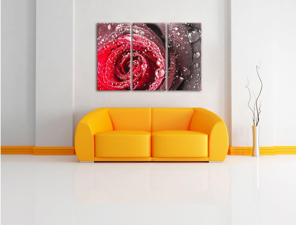 Pixxprint Rose mit Wassertropfen als Leinwandbild/Grösse: 3 Teilig (120x80) cm/Wandbild/Kunstdruck/f