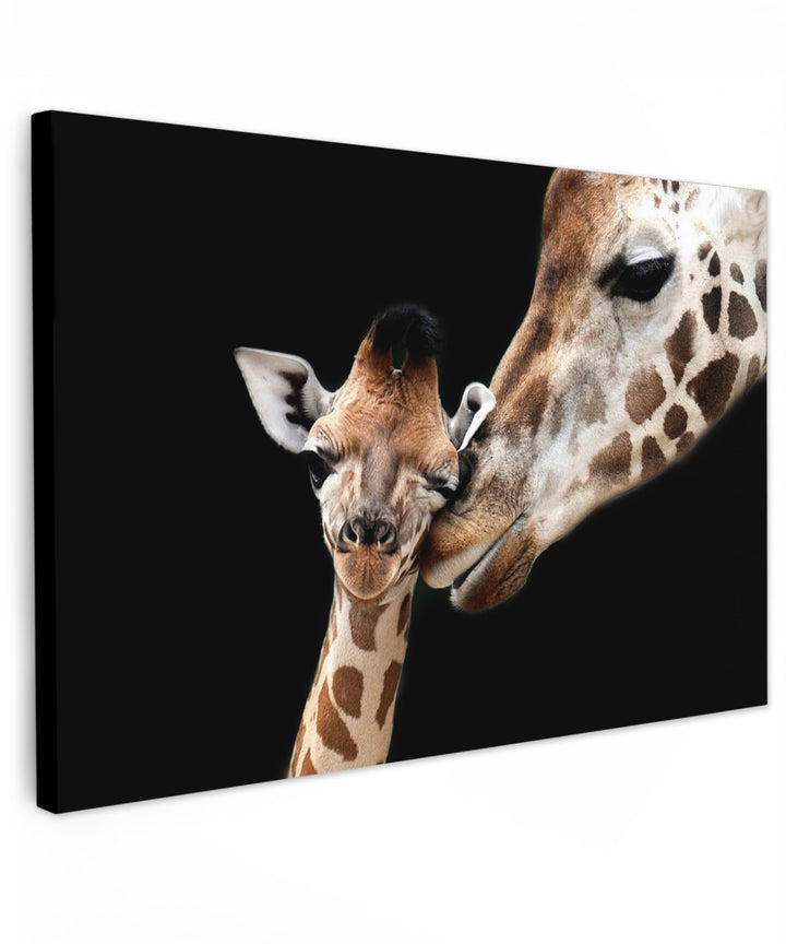 MuchoWow© Leinwandbild Gross 120x80 cm XXL Dekoration Wohnzimmer Bilder Aufhängen Wall Decoration Li