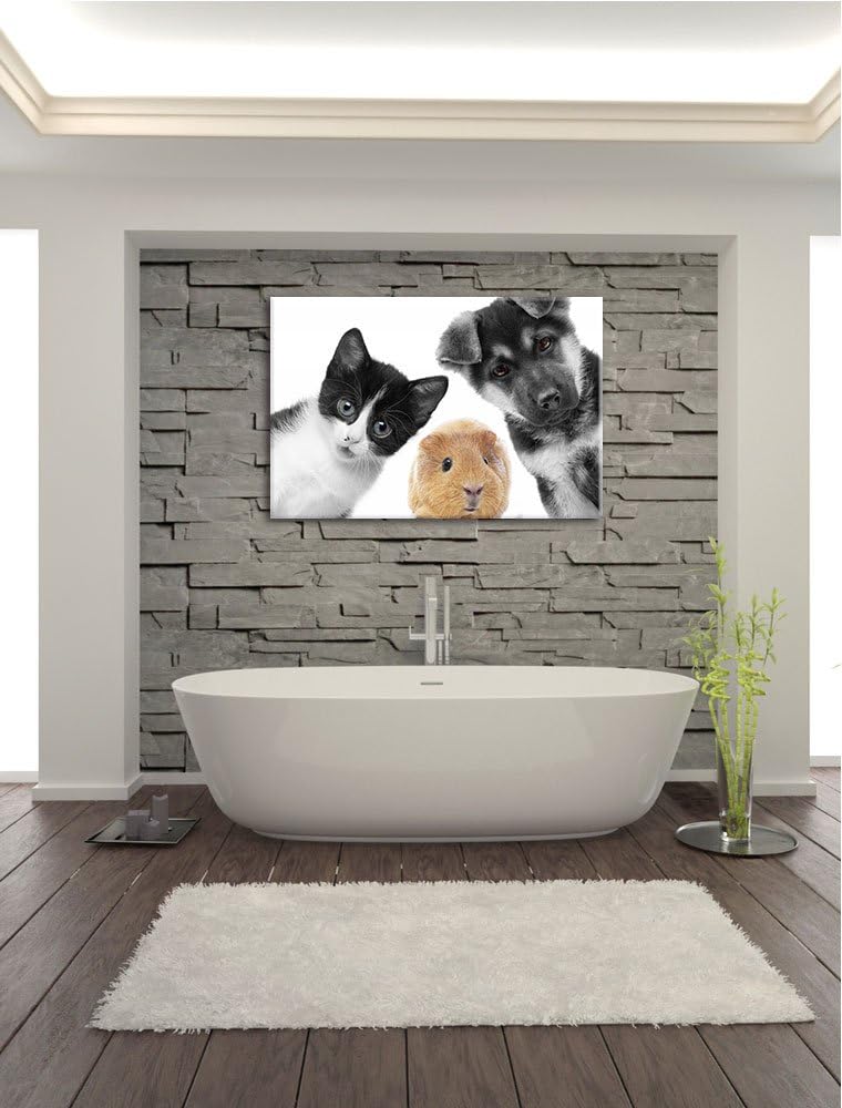 süsses Trio Hund Katze Meerschweinchen schwarz/weiss Format: 100x70 auf Leinwand, XXL riesige Bilder