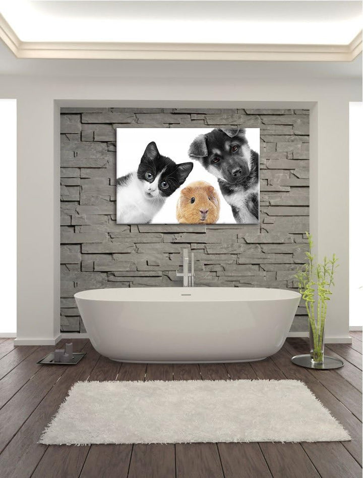 süsses Trio Hund Katze Meerschweinchen schwarz/weiss Format: 100x70 auf Leinwand, XXL riesige Bilder