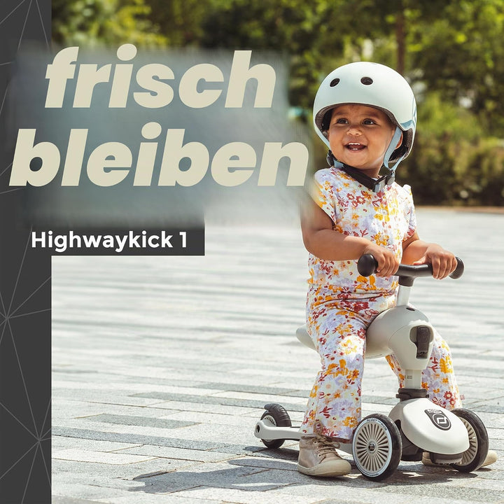 Scoot & Ride 3415 Highwaykick 1 Ash Single, Single