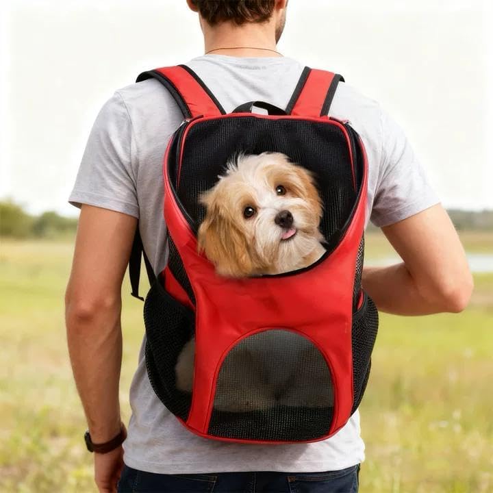 Pet Hunderucksack, Outdoor Haustierrucksack Netzfenster Haustier Rucksack Tragbare Hunde Katzentasch
