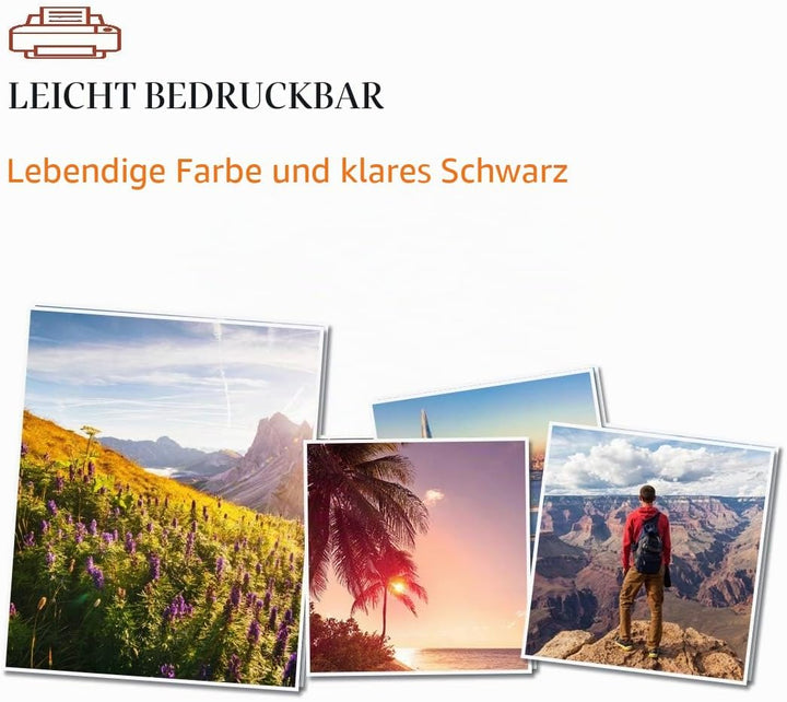 ASEKER Kompatibler Tonerkartusche für Ricoh SP C250 C250DN C250E C250SF C250SFw C261SFN C261SFNW C26